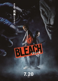 Bleach