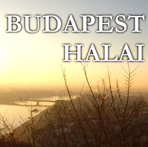 Budapest halai