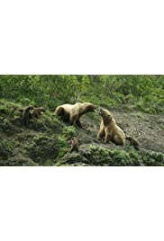 Grizzly-birodalom