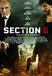 Section 8