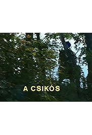 A csikós