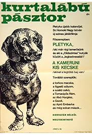 A kurtalábú pásztor
