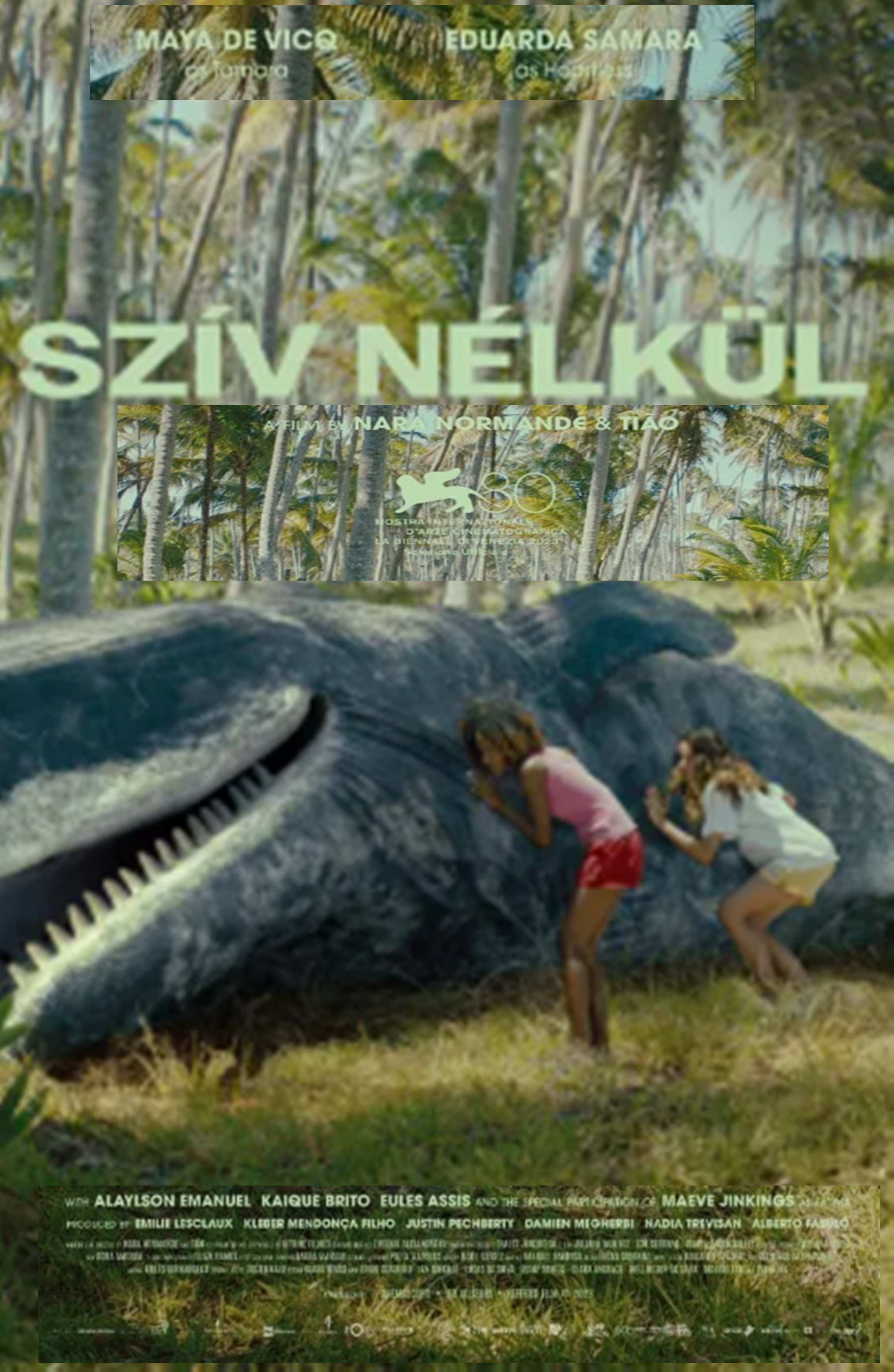 Szív nélkül