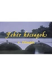 Fehér kócsagok