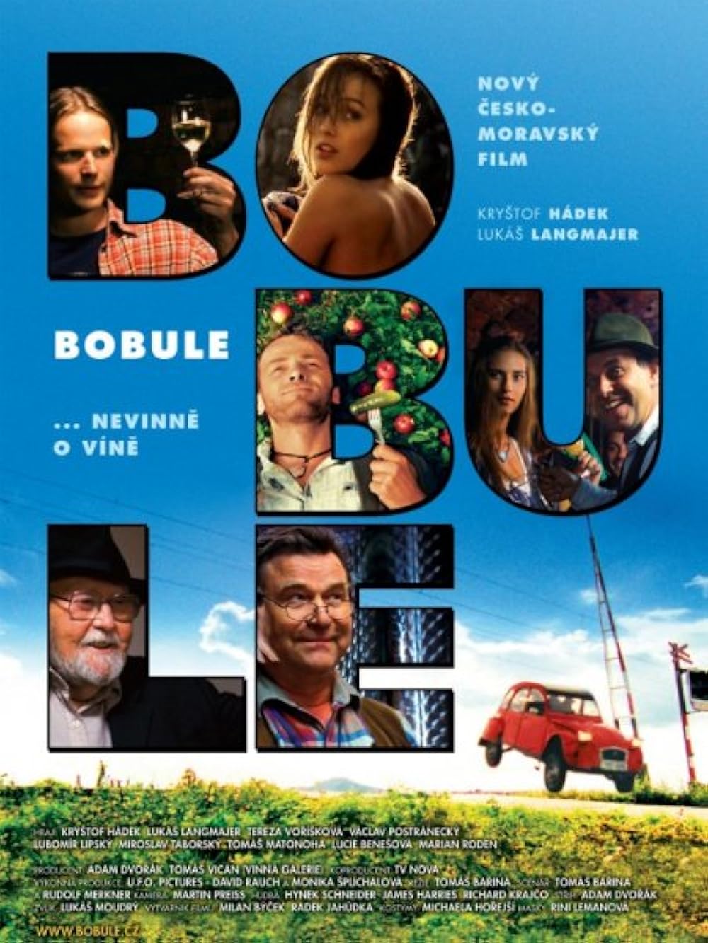 Botcsinálta borász