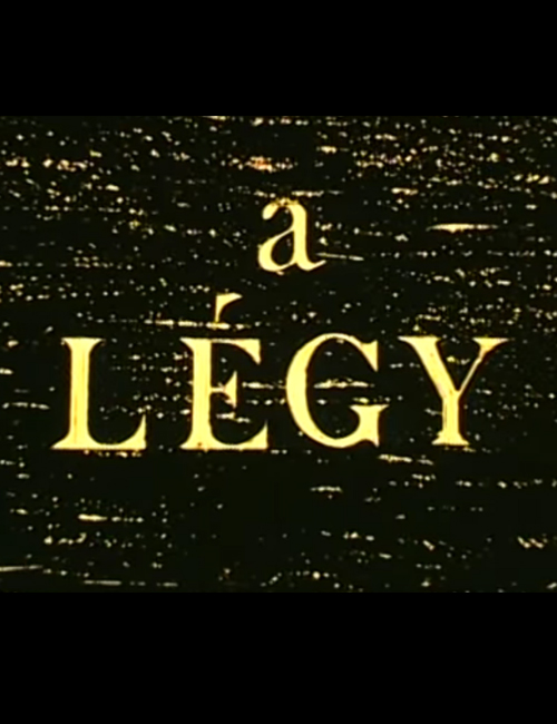 A légy