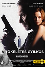 A tökéletes gyilkos (2017)