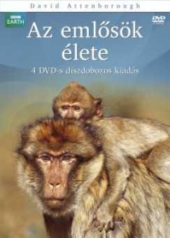 Az emlősök élete