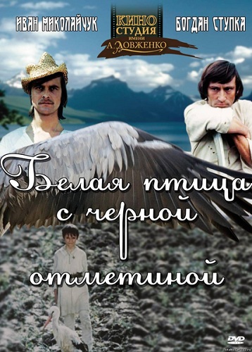 Fekete tollú fehér madár