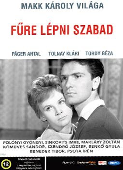 Fűre lépni szabad