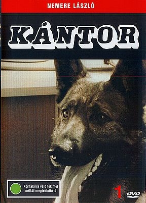 Kántor