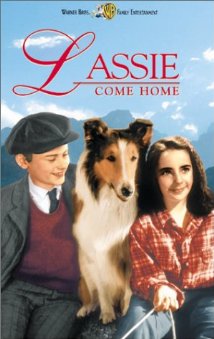Lassie hazatér