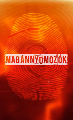 Magánnyomozók