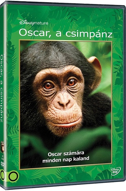 Oscar, a csimpánz