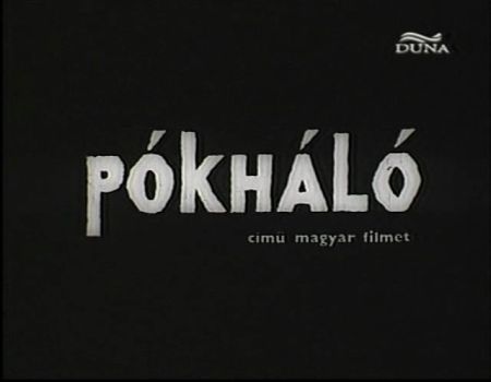 Pókháló