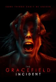 The Gracefield Incident  (2017)