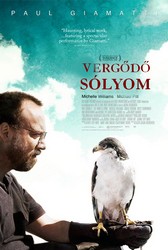 Vergődő sólyom