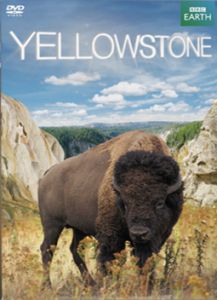 Yellowstone